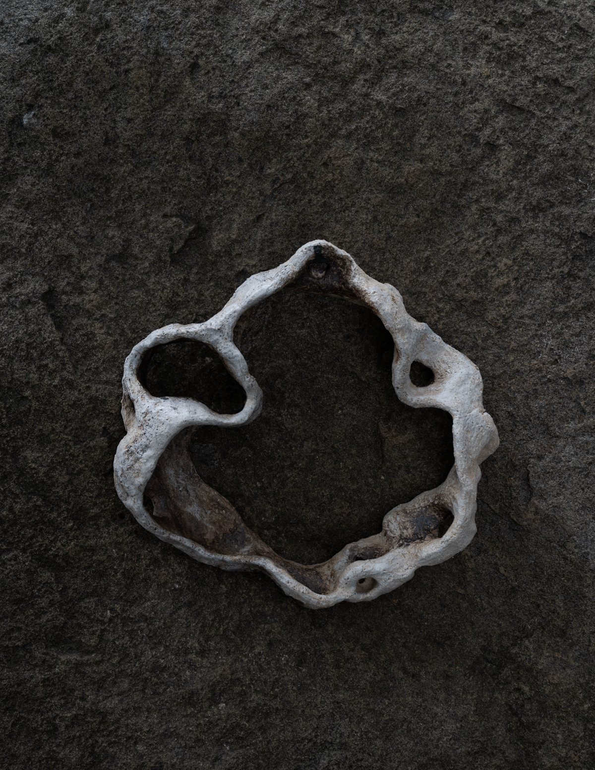 Roost — Bone