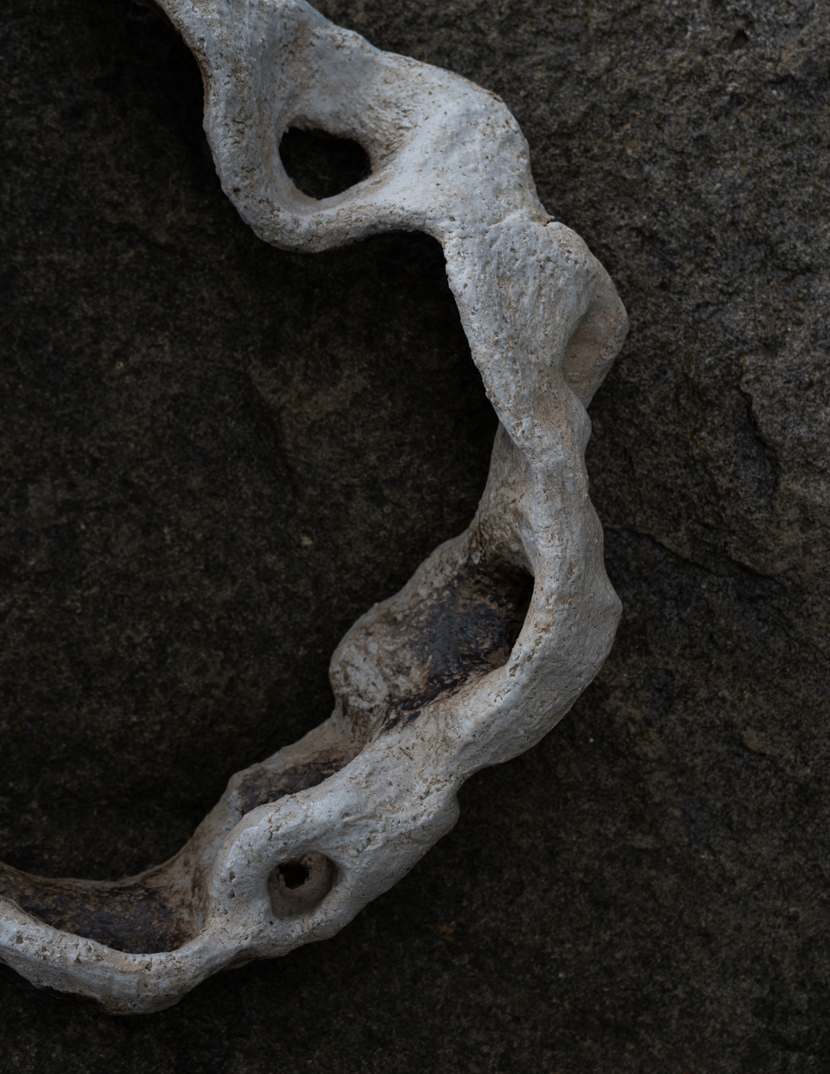 Roost — Bone