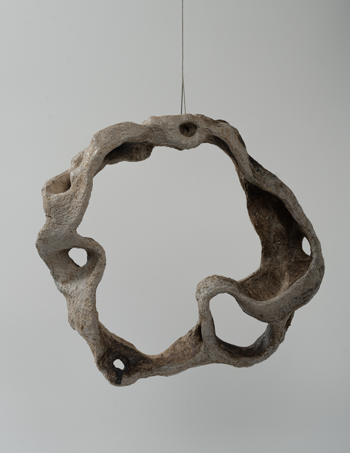 Roost — Bone, detail